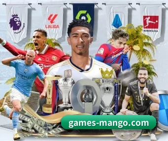芒果体育 APP（MANGO SPORTS）