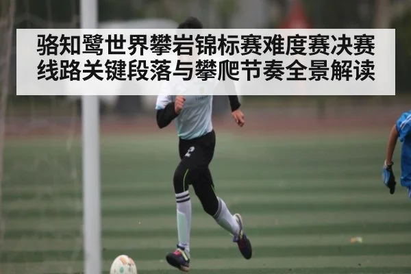 骆知鹭世界攀岩锦标赛难度赛决赛线路关键段落与攀爬节奏全景解读